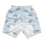 Light Blue Dinos
