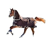  Horseware Rambo Duo Weidedecke mit Halsteil 2 in 1 Burgundy/Duck Egg& Black (125)