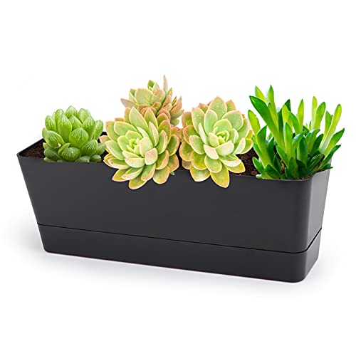 GREANER Macetas de hierbas de 30 x 10 cm, 1 unidad, rectangulares, ventana, con bandeja, plástico, cactus, menta, suculentas, interior, alféizar, balcón, oficina, jardín al aire libre, color negro