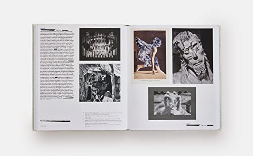 Vitamin C+: Collage in Contemporary Art - Image 7