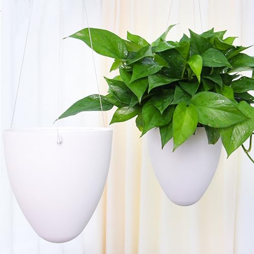 Pots suspendus à arrosage automatique finis les oublis d'arrosage