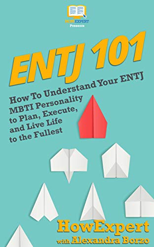 ENTJ 101: How To Understand Your ENTJ MBTI Personality to