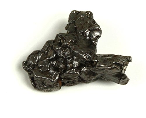 Dancing Bear Genuine Meteorite (15-20 Grams) From Campo Del Cielo In Argentina. Bonus: Tektite (2.5-4.5 Grams), Certificate Of Authenticity, Educational Info Cards And Display Box, Brand #TOP4