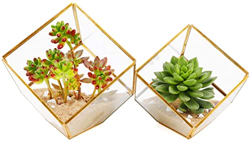 ELEGANTLIFE Geometrisches Pflanzgefäß aus Glas, für Sukkulenten und Luftpflanzen, für Zuhause, Garten, Büro, Dekoration (goldfarben… – Ansicht 1