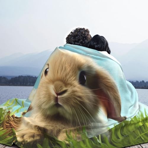 Couverture en micro polaire lapin 127x101 cm pour canapé