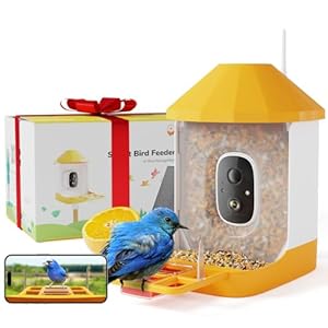 Dzees Smart Bird Feeder with Camera, 32G Card, AI Identify Birds Species, Capture Bird Video, Instant Notifications, Live View, 2K Video Bird Feeder Solar Powered, Ideal Gifts for Bird Lovers