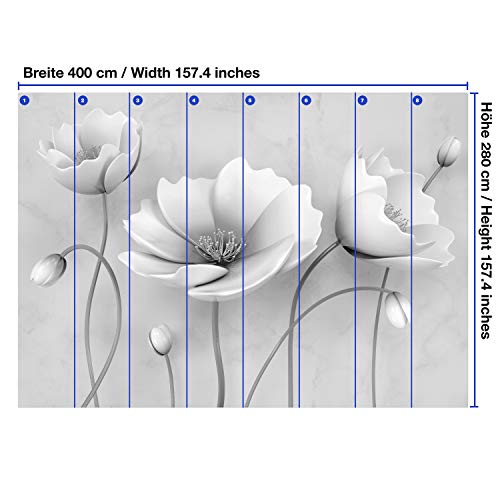 Wandmotiv24 Foto Murale Fiori grigi XXL 400 x 280