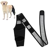 pclapora Rodillera para Perro, Rodilleras para Perro Material de Poliéster, Antilamido Codera Ajustable, Patas Traseras Perros con Velcro, Codera Paras Perros, Artritis Posoperatoria Mascota
