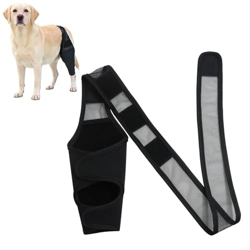 pclapora Leckschutz Hund Hinterbein, Bandage Hunds Hinterbeins Polyestermaterial, Hundes Kniebandage Hinterbein Verstellbarer, Kniebandage Hund Hinterbeins, für Kreuzbandrisse, Bänderverletzungen