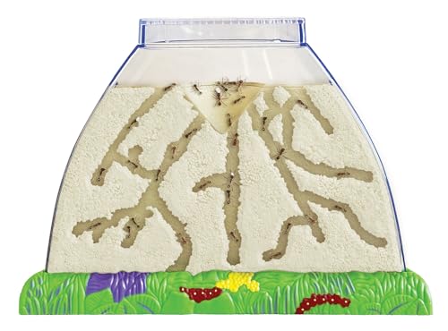 Insect Lore Ant Hill Habitat Kit