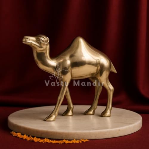 Image of Brass Camel Idol, Vastu Remedy for Endurance & Stability (16 cm, 780 g)