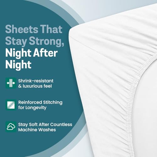 Image of Twin XL Cotton Jersey Sheet Set, Soft & Comfy, Hospital, Sage Green