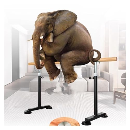 Tragbare Ballettstange für Zuhause oder im Studio, freistehend, verstellbar, 80–120 cm, für Tanz oder aktives Training, Ballettstange für Kinder und Erwachsene (Farbe: Schwarz, Grö