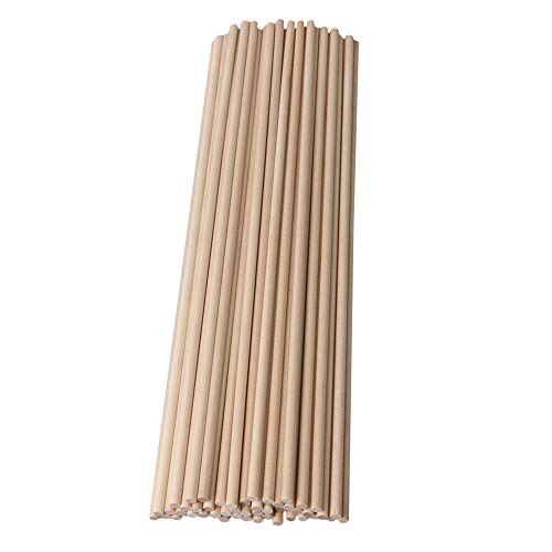 Bqlzr 30.5Cm Length 5Mm Dia Round Birch Wood Sticks Wooden Dowel Rods For Lollies Craft Building Architectural Model Pack Of 50 #TOP16