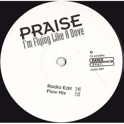 I'm flying like a dove / Vinyl Maxi Single
