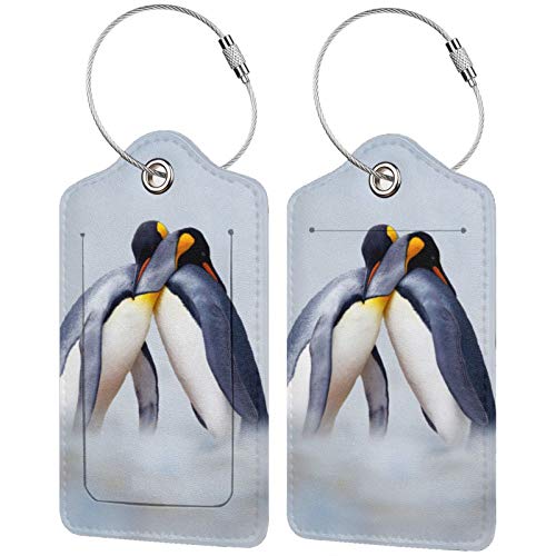 Snow and Ice. Initial Luggage Tag Baggage Bag Tags Travel Fully Bendable Tag Stainless Steel Loop 2 Pcs Set