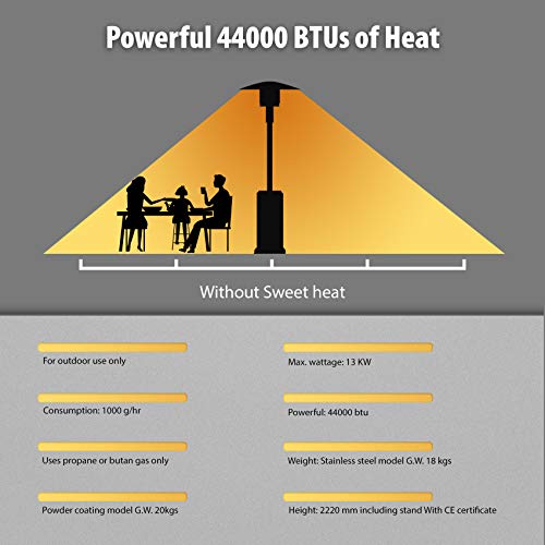 FutureCharger Outdoor Heater 44000 BTU Patio Heater, Stainless Steel Material Propane Heater, Portable Butane Outdoor Patio Heater with Wheels, Propane Gas Heater for Outdoor Patio Courtyard,Party Use