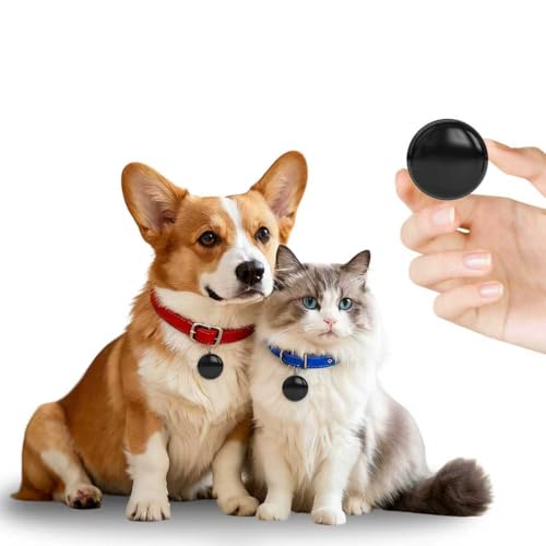 Image of GPS Tracker for Dogsquired, Track History, iOS & Android Compatible Now 2026