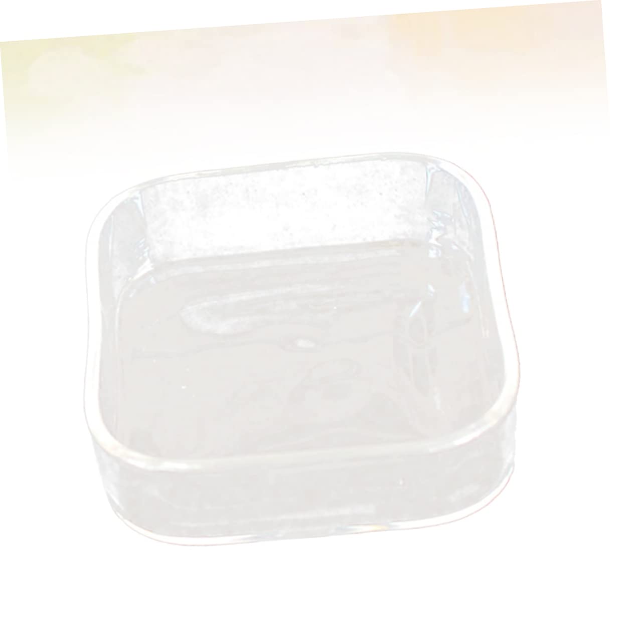 Mipcase Reptile Pet Feeder Bowl Transparent Glass Container for Tortoise Lizard Snails Easy to Clean for Feeding and Item Storage
