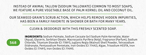 Reviva Labs 087992002762 Reviva Seaweed Soap - 2 Pack - Organic Seaweed Face Scrub And Exfoliating Body Scrub Soap Bar thumb #7