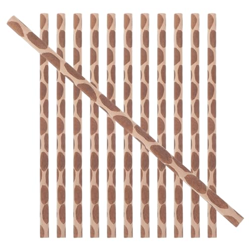 LOEFLIFA 12ؐM ی^WOfUC GpXPb`M ap[eB[ii L͗l̑i