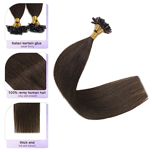 Sindra Dark Brown Hair Extensions U Tip 14 Inch 40g Dark Brown Pre Bonded Fusion Extensions Real Human Hair Straight Nail Keratin #2 14inch - Image 2
