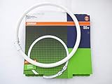  Osram Ringröhre T5, 55W/840 Lumilux kaltweiß, Fassung 2GX13