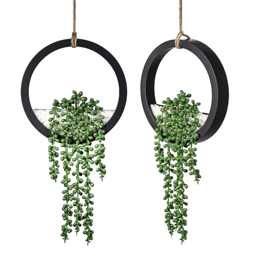 LUWENER Lot de 2 plantes succulentes artificielles à suspendre (chacune : 31 cm H x 21,1 cm l) - Faux fil de perles dans des pots avec cadre noir moderne -...