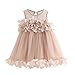 BYSTE Abito Bambina Ragazze Abiti Vestito da Principessa,Dolce Pizzo Gilet Petalo Filato Netto Vestito tutù Gonna in Tulle Morbida,Compleanno Nozze Damigella d'Onore Formale Vestito (Rosa, 4 Anni)
