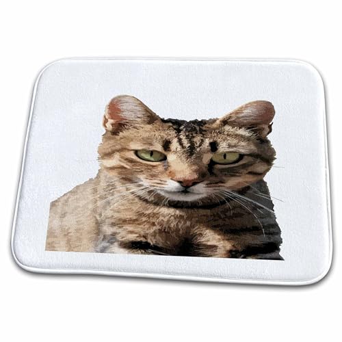 Dish Drying Mat - Portrait Of A Cute Tabby Cat With Direct Eye Contact Vector Vector Art - Tabby Cat