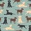 Labs Kid Blanket Hoodie