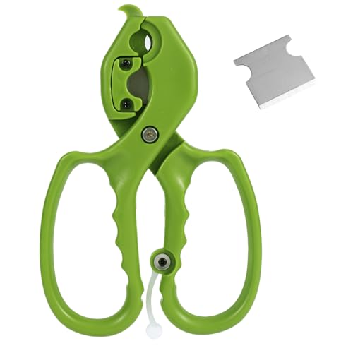 lasuroa Forbici Floreali, 2 in 1 Acciaio Inox Forbici da Giardino con Lama Sostituibile Strumenti per Fioristi per Tagliare Fiori Freschi Foglie Spine di Rose (Verde)