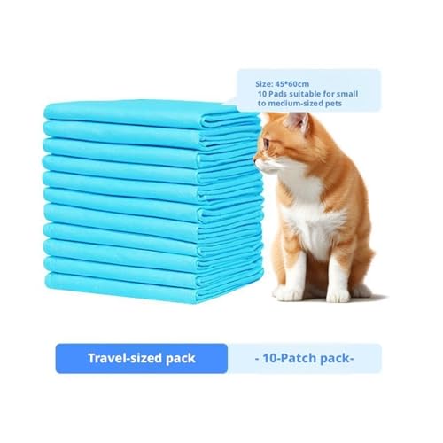 Couches for chats et chatons pour protéger la maison et faciliter les voyages - 6