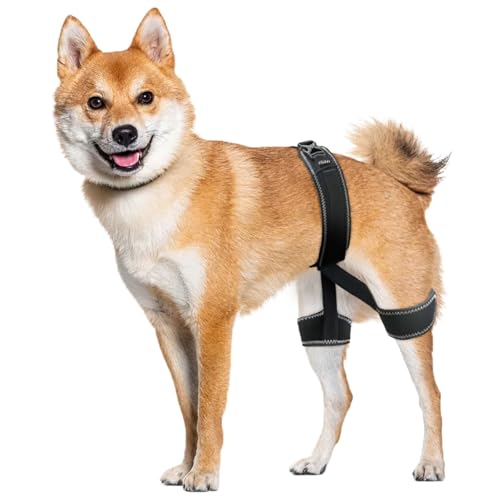 CHAMIN Dog Hip Brace for Hip Dysplasia