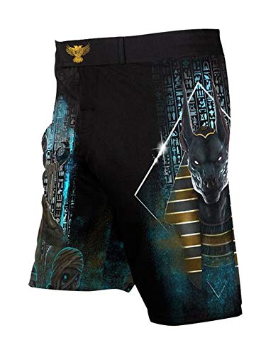 Raven Fightwear Men's The Gods of Egypt Anubis Shorts MMA Black 36 Waist