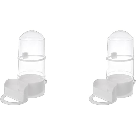 Bird Feeder Food for African Grey