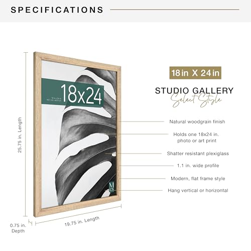 MCS Studio Gallery 18x24 Poster Frame Natural Woodgrain, Vertical & Horizontal Wall Hanging Large Picture Frame for Photos, Posters & Art Prints (1-Pack)
