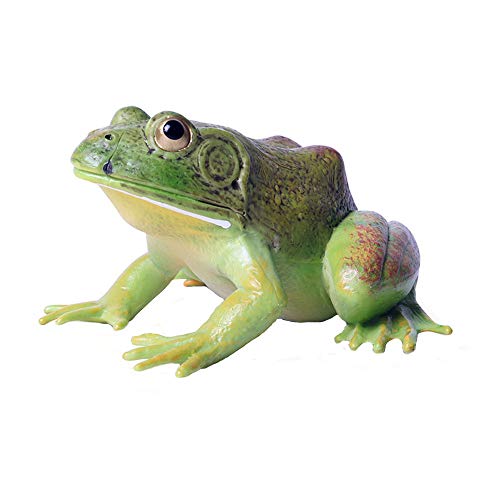 JOKFEICE Figuras de animales realistas American Bullfrog Figuras, Proyecto de Ciencia, Decoración de Pastel, Juguete Educativo Temprano Regalo de Cumpleaños de Navidad para Niños Pequeños (Cian)