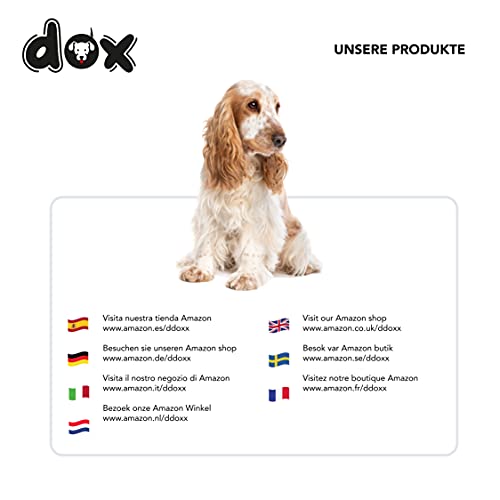 DDOXX Airmesh Hundehalsband - Stabiles und Verstellbares Welpenhalsband für alle Größen - S (Schwarz)