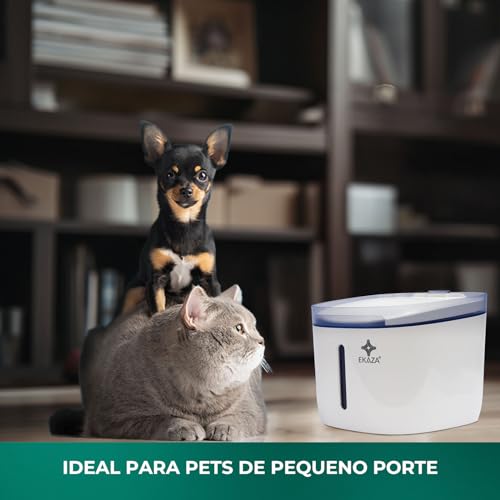 Nutri Alimentador Inteligente Com Câmera Ekaza Pet Fdw020