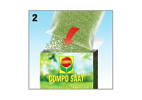 COMPO SAAT nazaaigazon, graszaad, speciaal nazaaimengsel met effectieve kiemversneller, 1 kg, 50 m² - Afbeelding 8