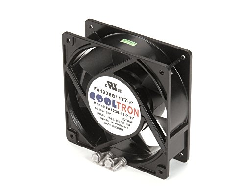 Ventilateur de refroidissement 62 Royalton pour nuits fraîches