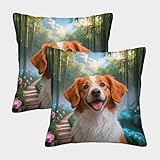 ★ Matériau de qualité supérieure : ces housses de coussin décoratives modernes sont fabriquées Polyester qualité, confortable et agréable pour votre peau ou vos animaux de compagnie. Lié avec un joli motif, ajoutez une décoration supplémentaire confortable et nature à vos canapés, canapés ou lits.