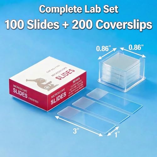 Lames de microscope pour cours de biologie et observations scientifiques à la maison