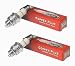 Set of 2, RC14YC Champion Spark Plugs