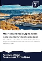 Мозг как митохондриальная магнитотактическая колония: Магнитотаксис, магнитоперцепция, квантовое восприятие и экстрасенсорное восприятие межгалактического и земного магнитного поля 6205968525 Book Cover