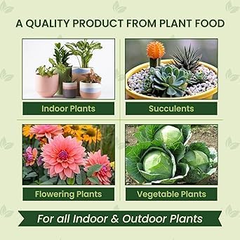 Image of Devender Plant Food Sticks for Indoor & Outdoor Plants, Natural Growth Booster, 40 Pieces