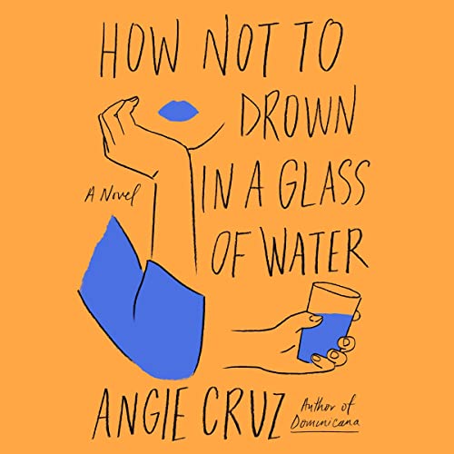 How Not to Drown in a Glass of Water A Novel (Audible