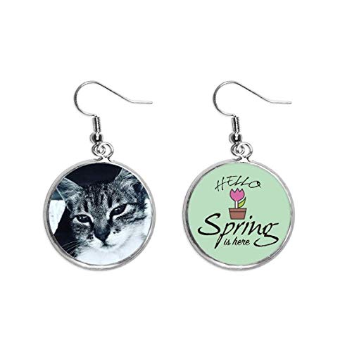 Pendientes de gato gris joya de primavera ideal para regalar a amantes de mascotas