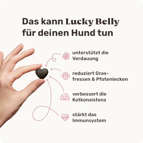 9-in-1 Probiotika für Deinen Hund - Lucky Belly 110 Drops (325g) von mammaly - Bei Magenprobleme & Verdauungsprobleme für Magen-Darm, Verdauungssnacks bei Gras fressen & Kotfresser Leckerlies mit Huhn